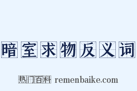 暗室求物反义词是什么意思的图片
